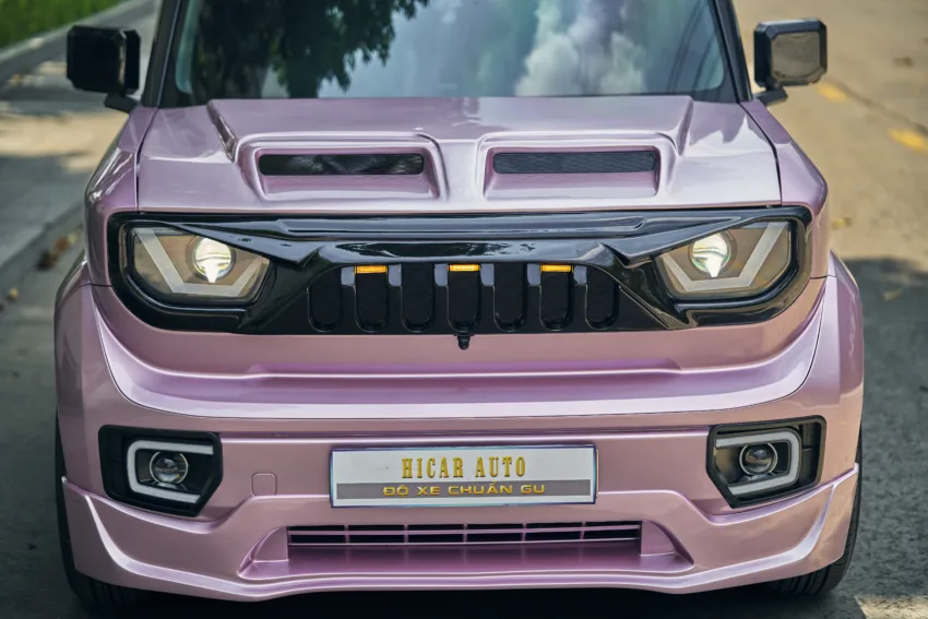 VF3 pink29 03 26 10 VF3 pink29 03 26 10